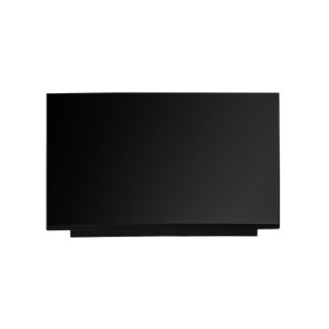 LQ173M1JW03 17.3" LED LCD Screen FHD IPS 1920 x 1080 AG 40 PINS 300HZ Matte Display Panel  17 3